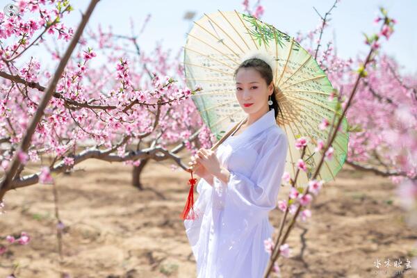 IMG_7056副本