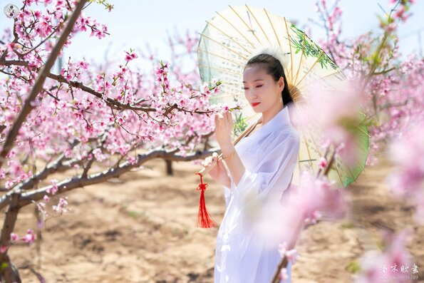 IMG_7063副本
