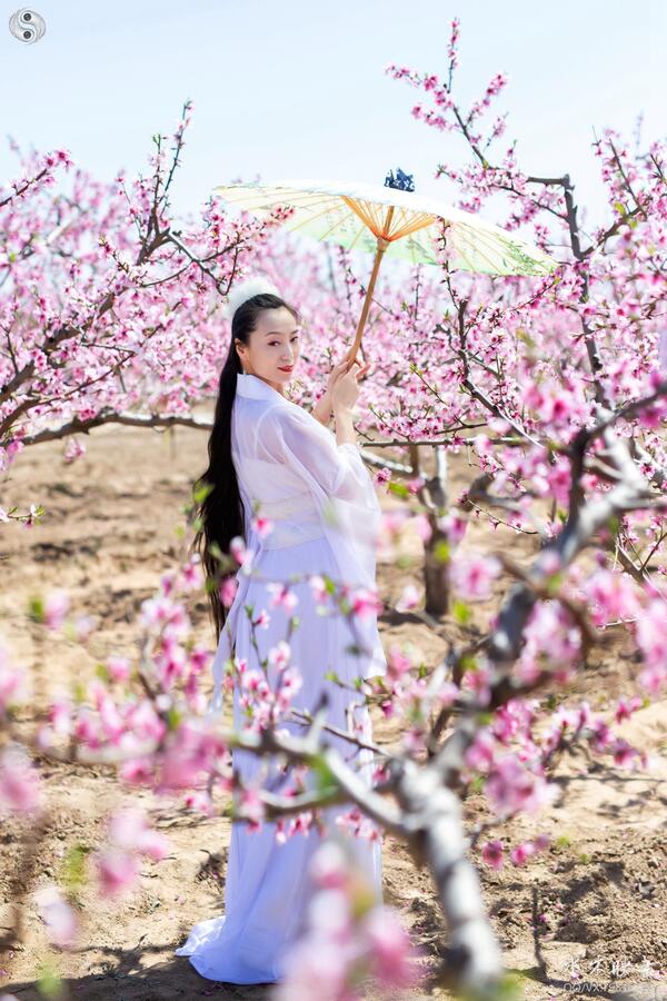 IMG_7073副本