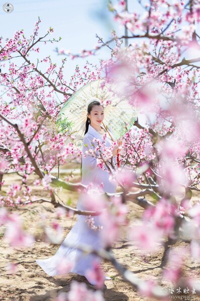 IMG_7083副本