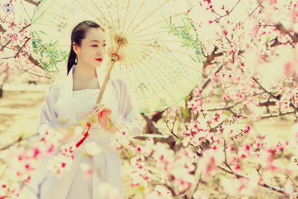 IMG_7093副本