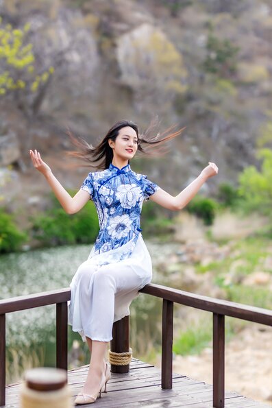 书 (65)