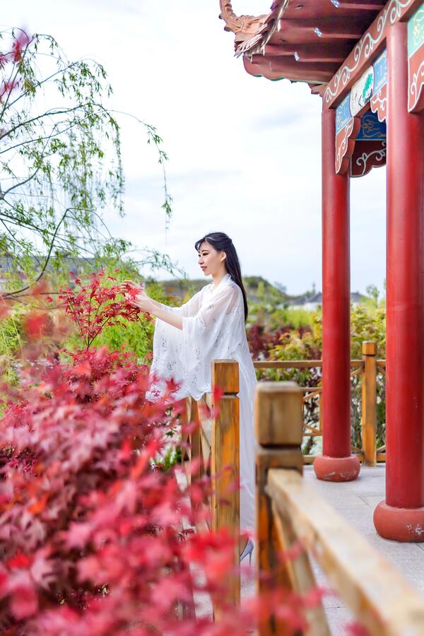 IMG_2447副本
