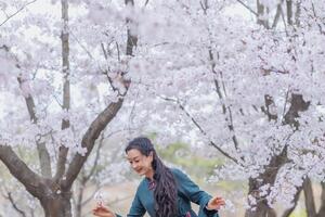 20210411樱花人像2
