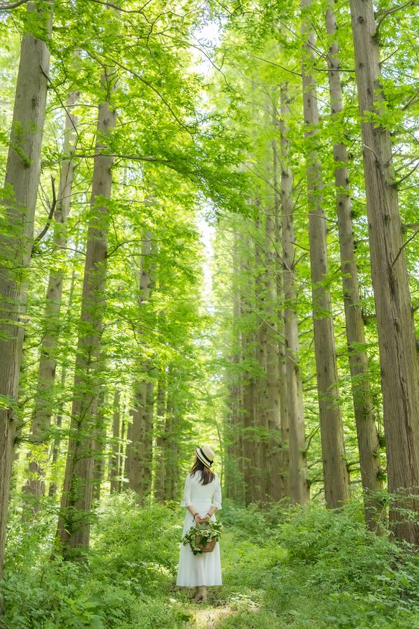IMG_7963副本