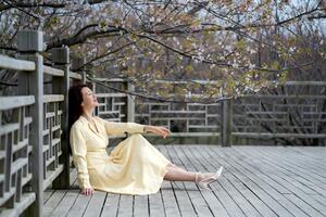 20230410美女樱花